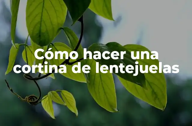 Cómo Hacer una Cortina de Lentejuelas