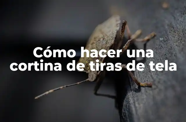 Cómo Hacer una Cortina de Tiras de Tela