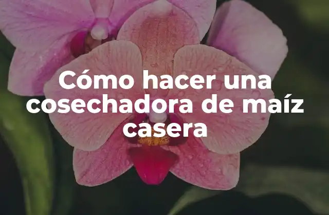 Cómo Hacer una Cosechadora de Maíz Casera