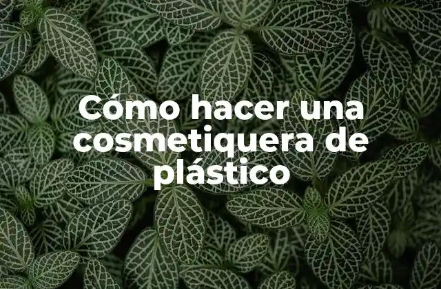 Cómo Hacer una Cosmetiquera de Plástico