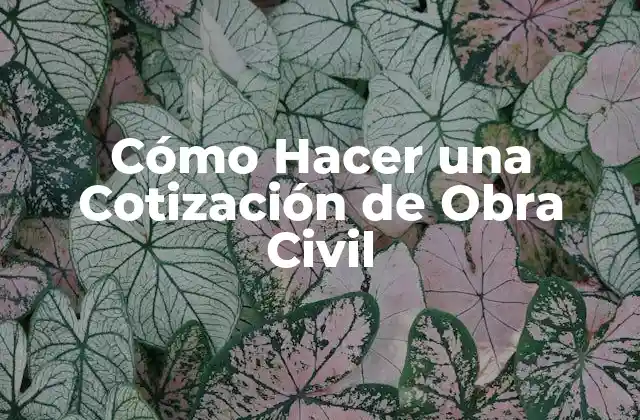 Cómo Hacer una Cotización de Obra Civil