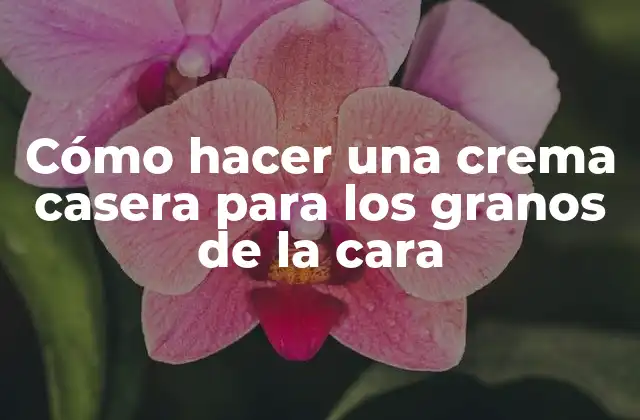 Cómo Hacer una Crema Casera para los Granos de la Cara