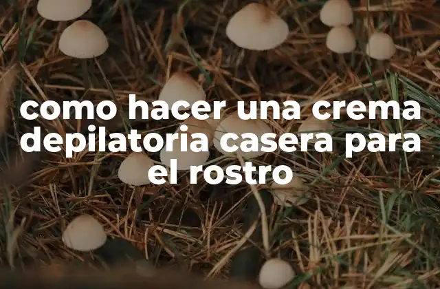 Como Hacer una Crema Depilatoria Casera para el Rostro