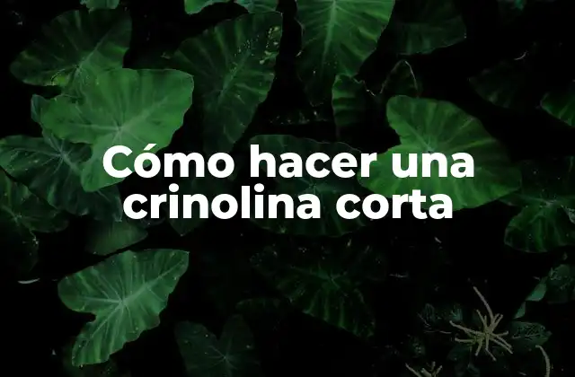 Cómo Hacer una Crinolina Corta