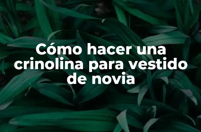 Cómo Hacer una Crinolina para Vestido de Novia