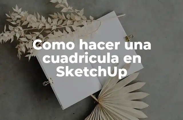 Como Hacer una Cuadricula en Sketchup