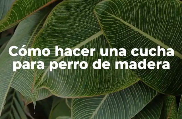 Cucha para perro de madera: ¿Qué es y para qué sirve?
