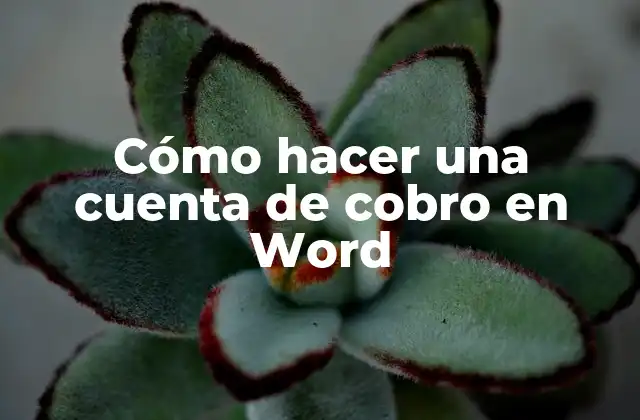 Cómo Hacer una Cuenta de Cobro en Word
