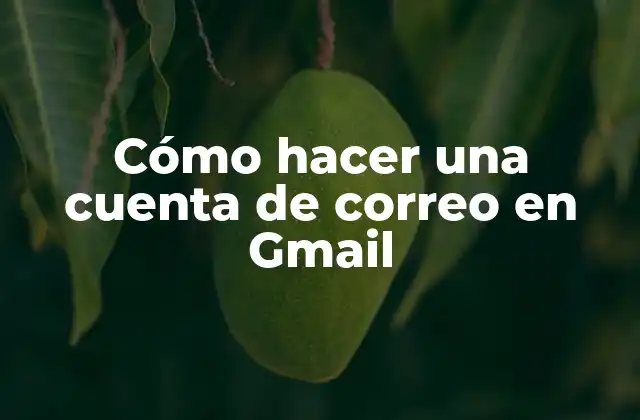 Cómo Hacer una Cuenta de Correo en Gmail