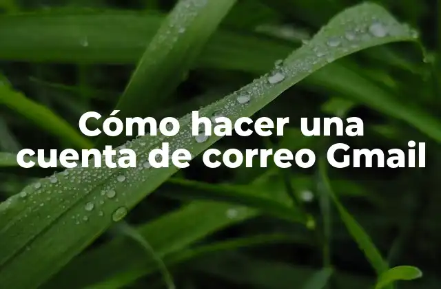 Cómo Hacer una Cuenta de Correo Gmail 2 Cómo hacer una cuenta de correo Gmail