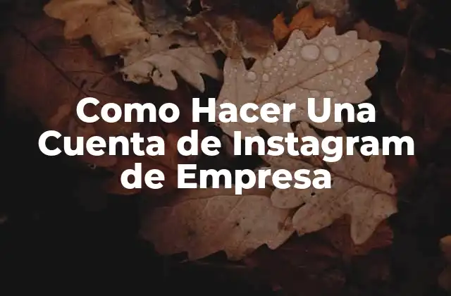 Como Hacer una Cuenta de Instagram de Empresa