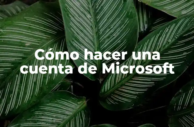 Cómo Hacer una Cuenta de Microsoft