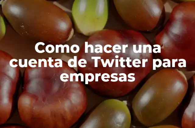 Como hacer una cuenta de Twitter para empresas