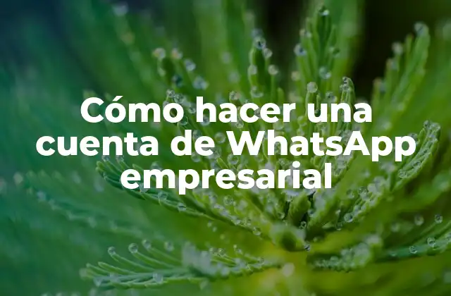 Cómo Hacer una Cuenta de Whatsapp Empresarial