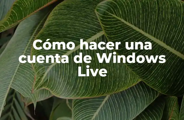 Cómo Hacer una Cuenta de Windows Live