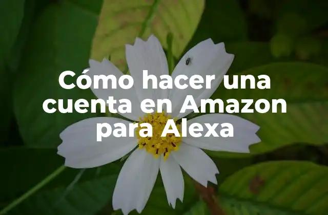 Cómo Hacer una Cuenta en Amazon para Alexa