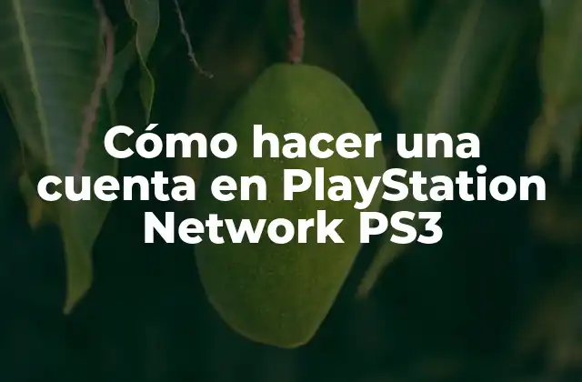 Cómo Hacer una Cuenta en Playstation Network Ps3 2 Cómo hacer una cuenta en PlayStation Network PS3