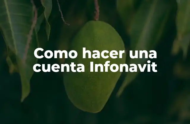 Como Hacer una Cuenta Infonavit