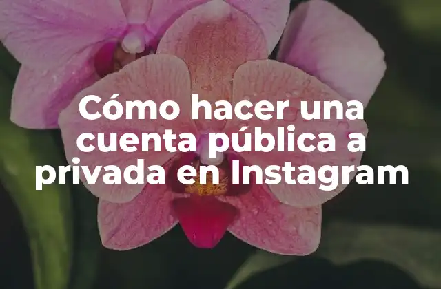 Cómo Hacer una Cuenta Pública a Privada en Instagram