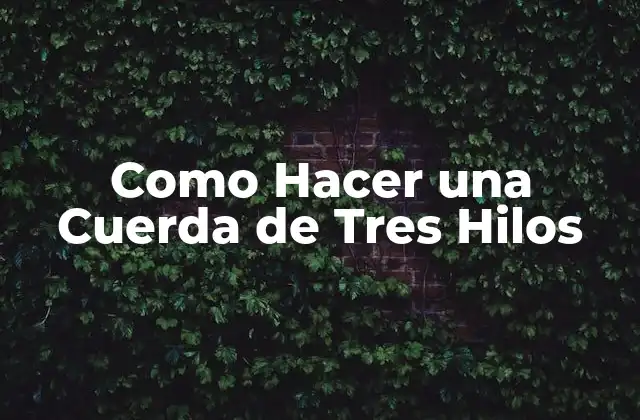 Como Hacer una Cuerda de Tres Hilos