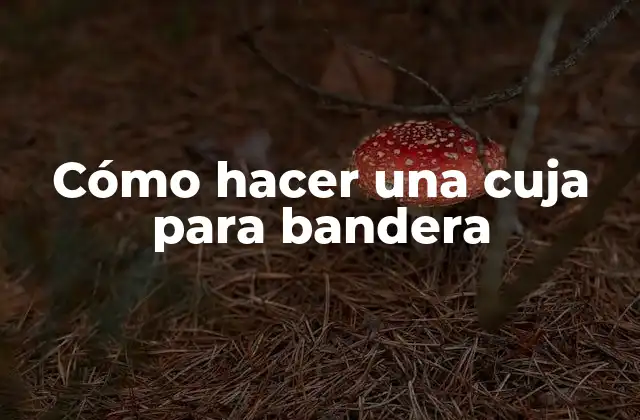 Cómo Hacer una Cuja para Bandera