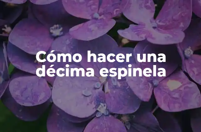 Cómo Hacer una Décima Espinela