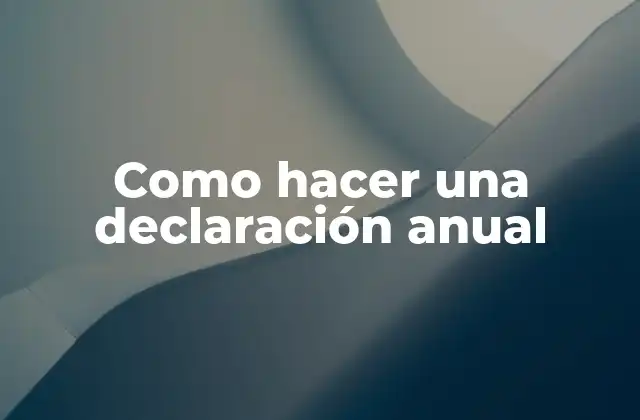 Como Hacer una Declaración Anual