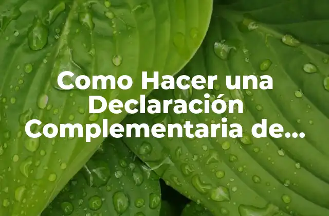 Como Hacer una Declaración Complementaria de Ejercicios Anteriores