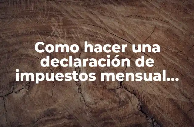 Como Hacer una Declaración de Impuestos Mensual Persona Física