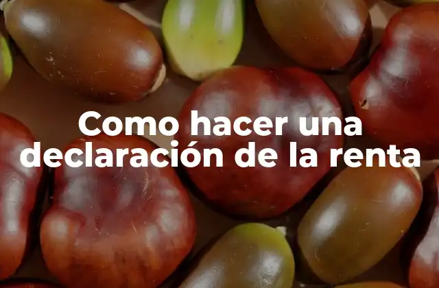 Como Hacer una Declaración de la Renta