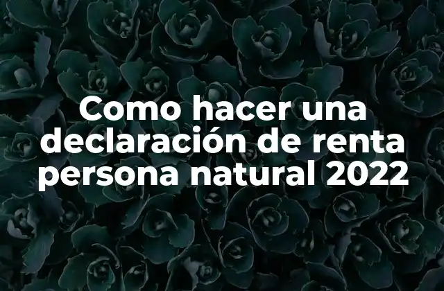 Como Hacer una Declaración de Renta Persona Natural 2022