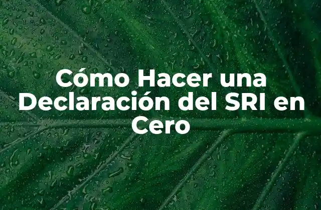 Cómo Hacer una Declaración Del Sri en Cero