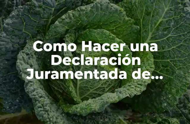 ¿Qué es una Declaración Juramentada de Bienes?