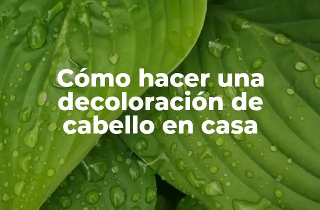 Cómo Hacer una Decoloración de Cabello en Casa