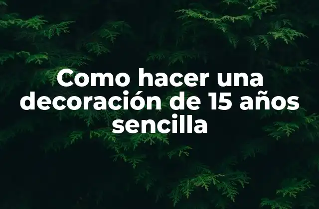 Como Hacer una Decoración de 15 Años Sencilla