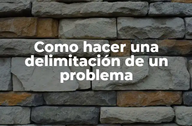 Como Hacer una Delimitación de un Problema