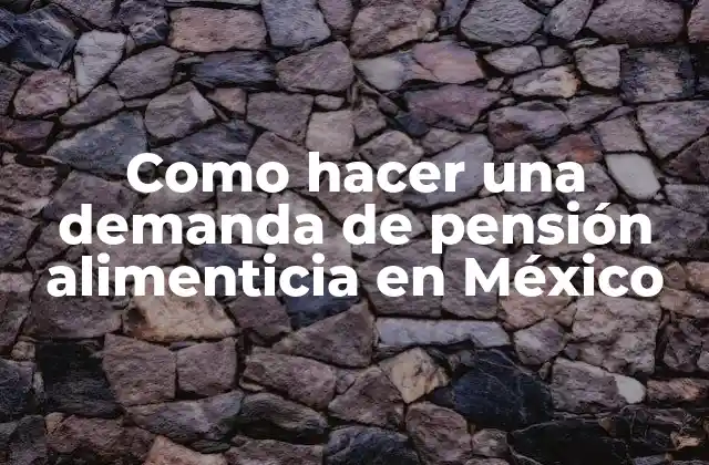 Como Hacer una Demanda de Pensión Alimenticia en México