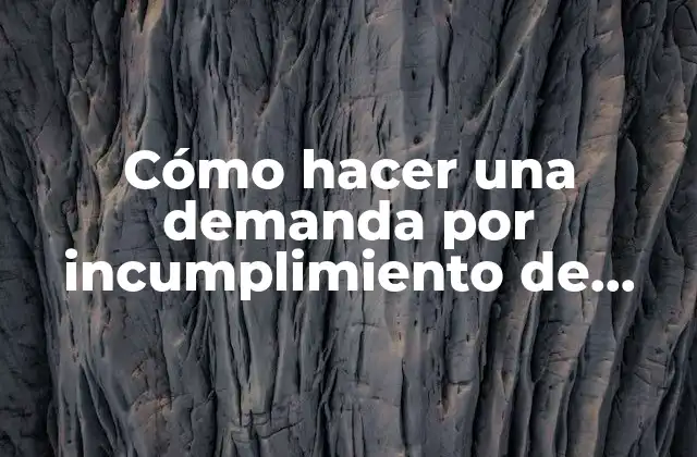 Cómo Hacer una Demanda por Incumplimiento de Pago