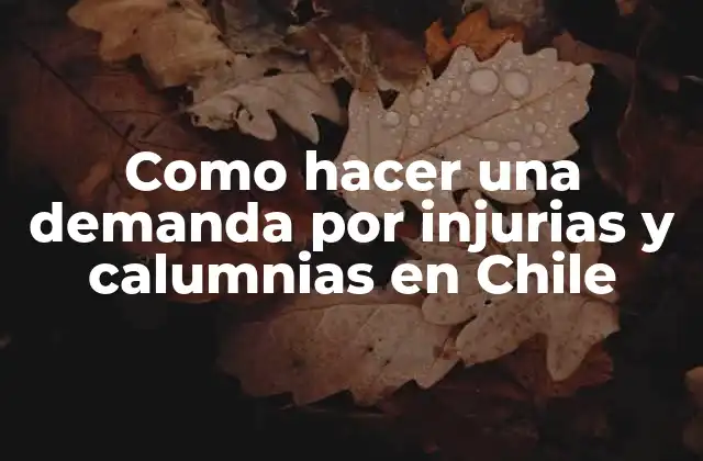 Como Hacer una Demanda por Injurias y Calumnias en Chile