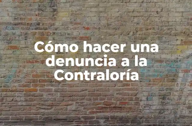 Cómo Hacer una Denuncia a la Contraloría