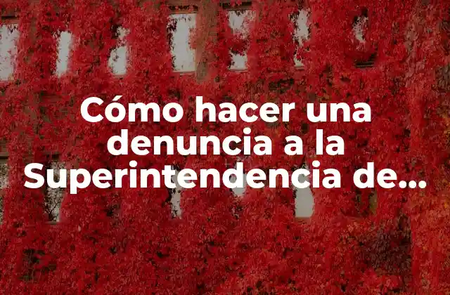 ¿Qué es la Superintendencia de Salud y para qué sirve?