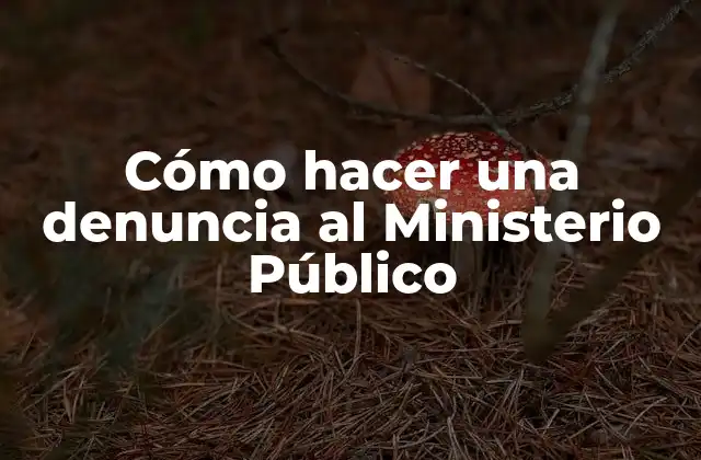 Cómo Hacer una Denuncia Al Ministerio Público