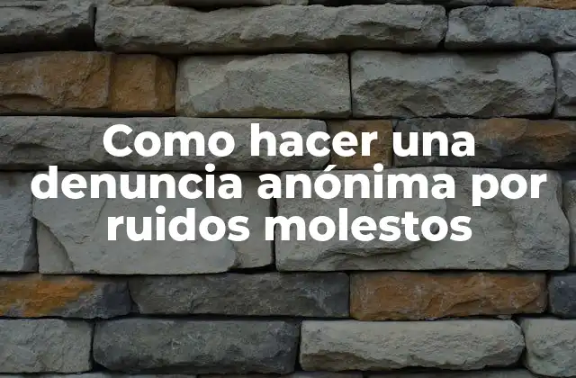 Como Hacer una Denuncia Anónima por Ruidos Molestos