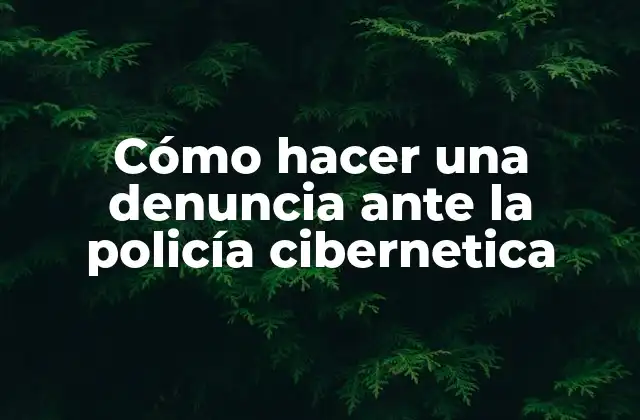 Cómo hacer una denuncia ante la policía cibernetica