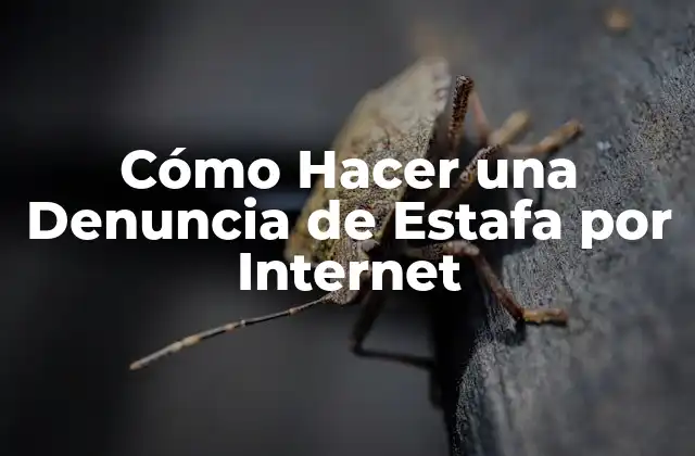 Cómo Hacer una Denuncia de Estafa por Internet