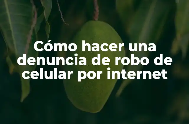Cómo Hacer una Denuncia de Robo de Celular por Internet