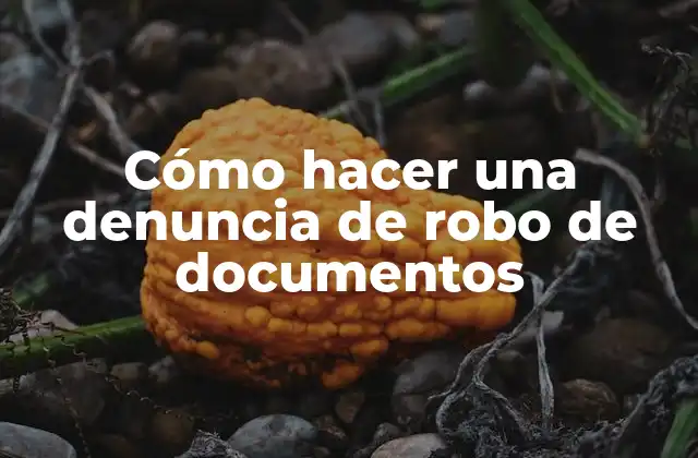 Cómo Hacer una Denuncia de Robo de Documentos