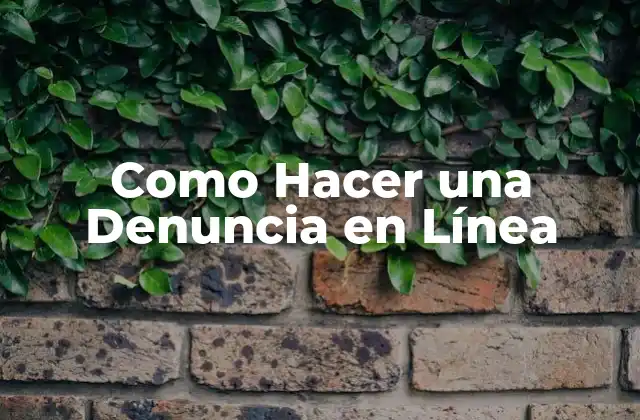 Como Hacer una Denuncia en Línea