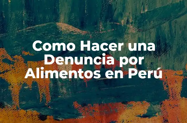 Como Hacer una Denuncia por Alimentos en Perú