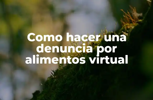 Como Hacer una Denuncia por Alimentos Virtual 2 ¿Qué es una denuncia por alimentos virtual y para qué sirve?